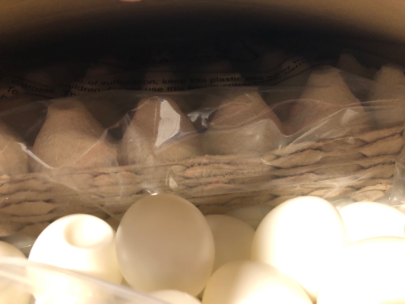 Photo 1 of 180 Pcs White Plastic Eggs Paintable Easter Eggs, Fake Eggs Plastic Eggs for Crafts with Paper Egg Trays for DIY, Crafts, Easter Party Favors, Easter Hunts, Basket Fillers