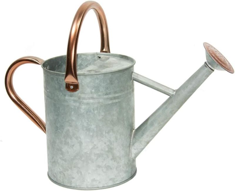 Photo 1 of **ITEM IS DENTED*** 

Metal Watering Can, One Gallon Watering Cans Stainless Steel for Outdoor Indoor Garden Plants Watering (Zinc 1 Gallon)