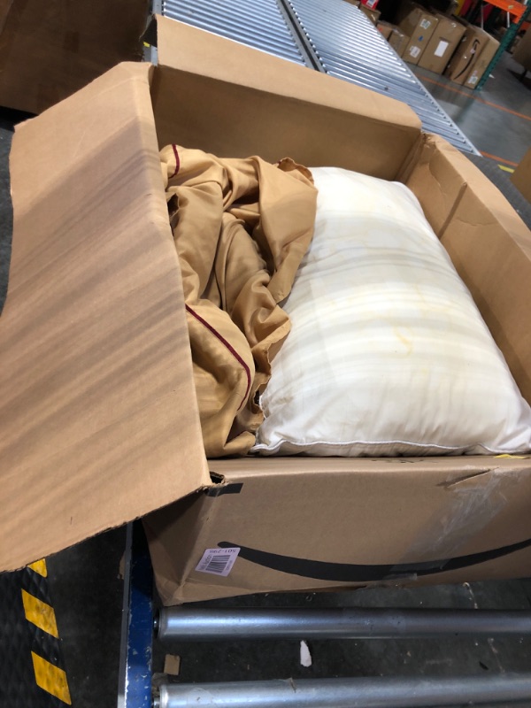 Photo 1 of **pillow has stains** 1800 Series Hotel Quality Super Soft Wrinkle Resistant & Fade Resistant Beautiful Design sheet Twin/Twin XL Gold and 1 Used COZSINOOR Queen Size Bed Pillows for Sleeping: Hotel Quality,  Down Alternative Cooling Microfiber Filled for