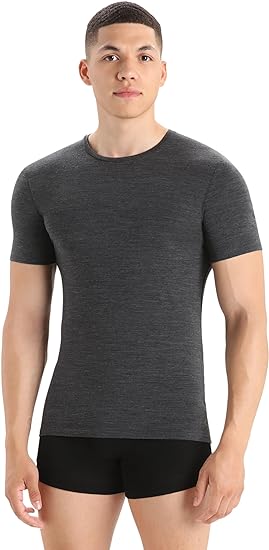 Photo 1 of Icebreaker Men's Anatomica Short Sleeve Crewe Small
