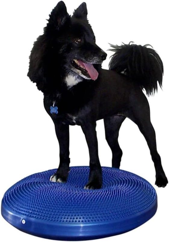 Photo 1 of 22" FitPAWS® Dog Training/Rehabilitation Balance Disc, Blue
