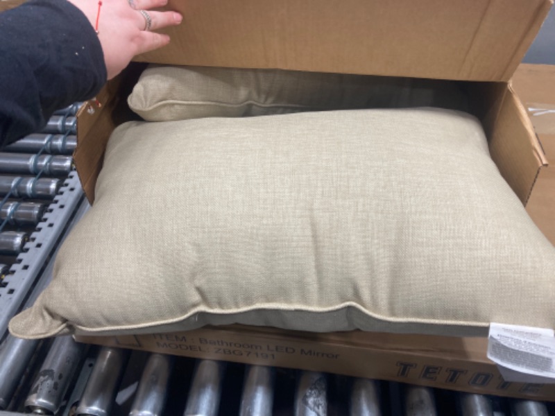 Photo 1 of 2pcs pillows tan 