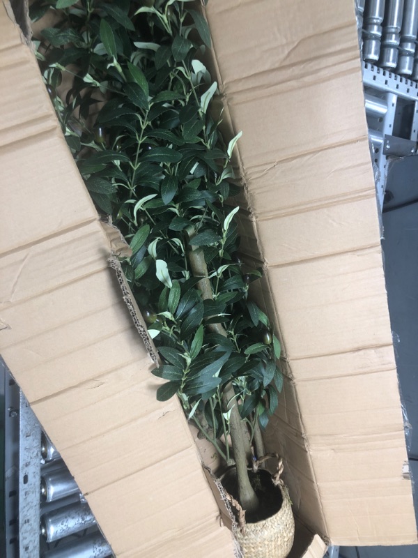 Photo 2 of ?Realead 5ft Fiddle Leaf Fig Tree Artificial - Large Fake Fig Leaf Tree with 78 Leaves - Tall Faux Plants in Plastic Nursery Pot for Modern Home Office Living Room Indoor Decor
