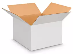 Photo 1 of 12 x 12 x 8" White Corrugated Boxes, 50pack