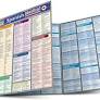 Photo 1 of BarCharts- Inc. 9781423203124 Spanish Medical Conversation- Pack of 3