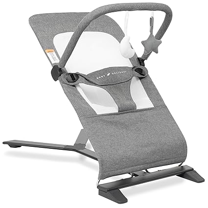 Photo 1 of Baby Delight Alpine Deluxe Portable Bouncer | Infant | 0 – 6 months | Charcoal Tweed
