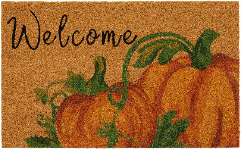 Photo 1 of *****STOCK IMAGE FOR SAMPLE*****SEE NOTES**
Outdoor Doormat, Natural Entry Mat, Front Door Decor