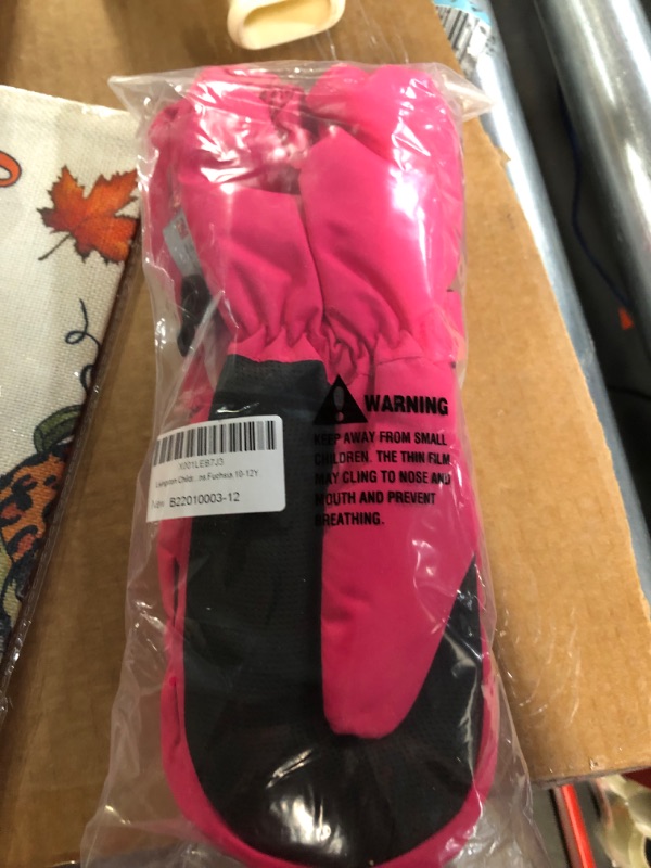 Photo 2 of Livingston Outdoors Waterproof Winter Ski Mitten Gloves LARGE