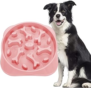 Photo 1 of ***SEE PICS
JASGOOD  Slow Feeder Dog Bowl Slow Eating Bowl Slow Feeding Non-Slip Puzzle Bow-Pink