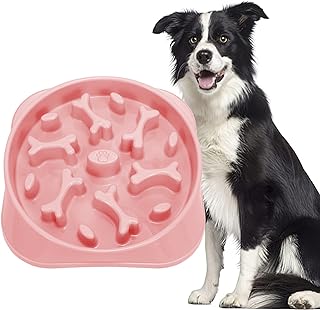 Photo 1 of ***SEE PICS ASGOOD Slow Feeder Dog Bowl Pink, Large