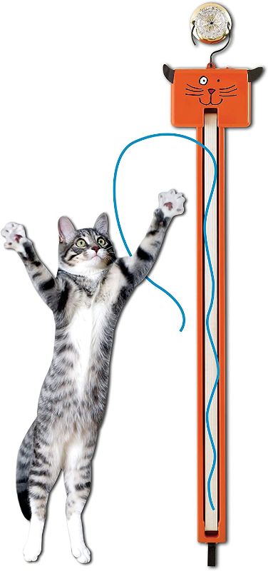 Photo 1 of **AS-IS** Fling-AMA-String Cat To
