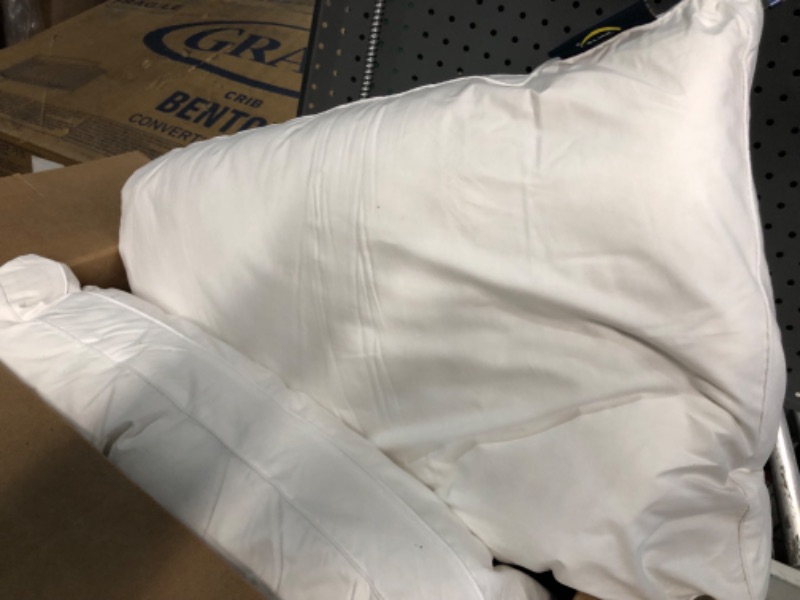 Photo 2 of  Sleeper 2 Pack Pillow, 2 Count 