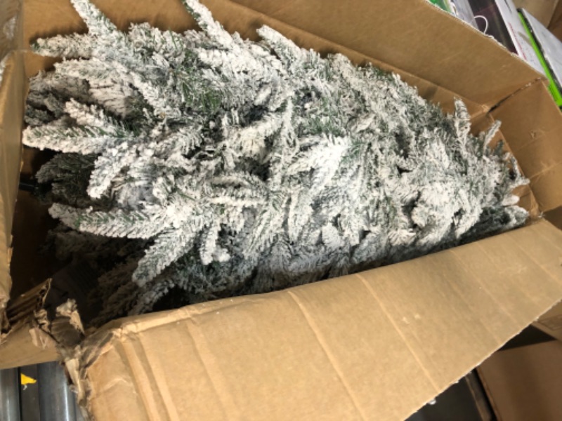 Photo 1 of *NO STOCK IMAGE* Christmas Tree 6ft