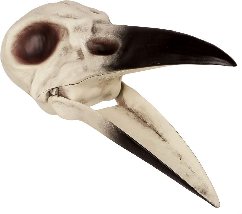 Photo 1 of (SET OF 2) Crazy Bonez Raven Skull Decoration
