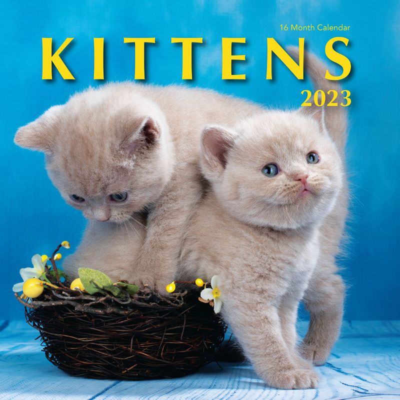 Photo 1 of * 2 PACK * Kittens 2023 Hangable Wall Calendar - 12" x 24" Open - Cute Kitty Cat Photo Gift - Sturdy Thick Beautiful Kitten Photography - Large Full Page 16 Months for Organizing & Planning - Includes 2022