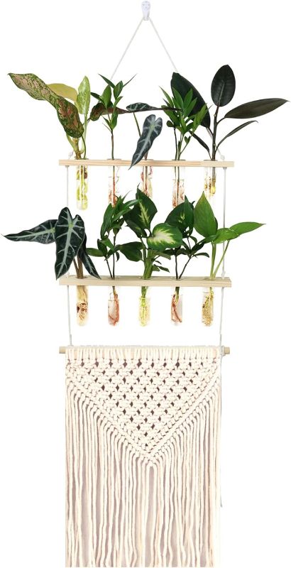 Photo 1 of  Wall Hanging Plant Terrarium - Glass Test Tubes for Hydroponics with 2 Tier Wooden Stand - Macrame Boho Home Decor - Propagation Wall Planters