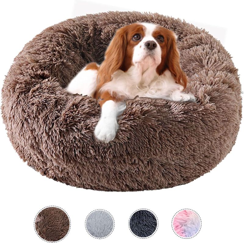 Photo 1 of  Dog Bed