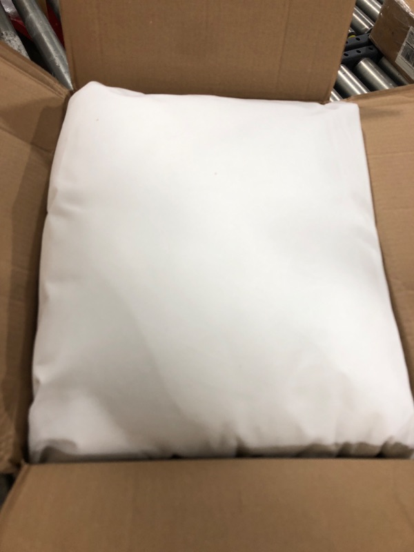 Photo 1 of 2pk of pillows 