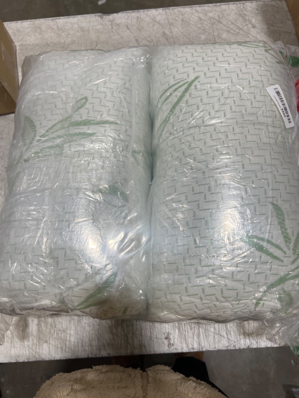 Photo 1 of 2 Bamboo pillows Size unknown 