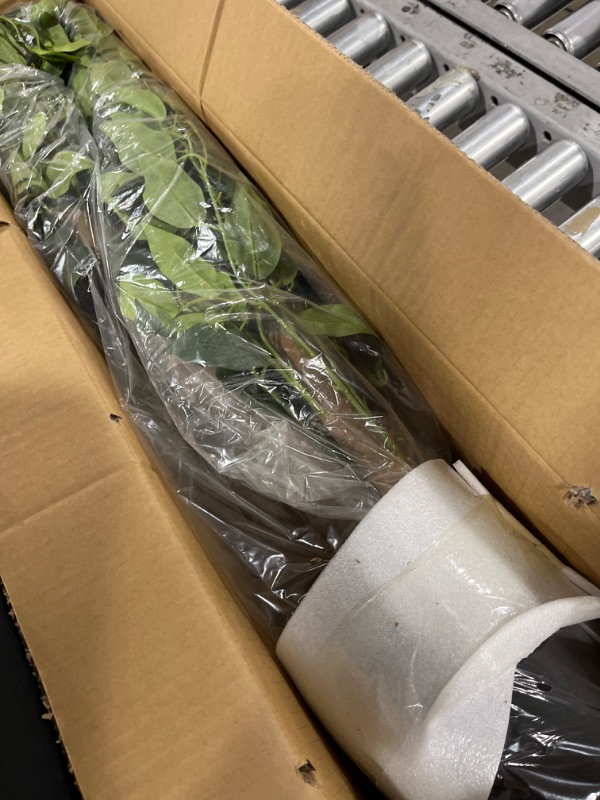 Photo 1 of Aphighjoy Faux Plants Artificial Ficus Trees Eucalyptus Trees with Silk Leaves Fake Moss and Sturdy Nursery Pot, Fake Plants for Office Home Decor (4Ft -1Pack, Upgraded Ficus Tree) 4Ft -1Pack Upgraded Ficus Tree