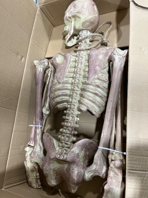 Photo 2 of JOYIN Halloween 4.9 FT Skeleton Full Body Posable Joints Realistic Human Plastic Bones for Halloween Indoor Outdoor Spooky Scene Party Favors
