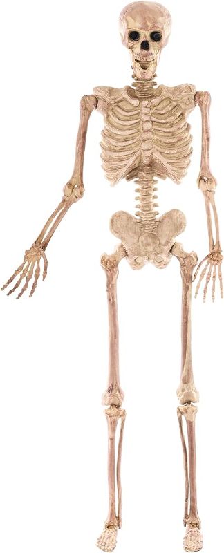 Photo 1 of JOYIN Halloween 4.9 FT Skeleton Full Body Posable Joints Realistic Human Plastic Bones for Halloween Indoor Outdoor Spooky Scene Party Favors
