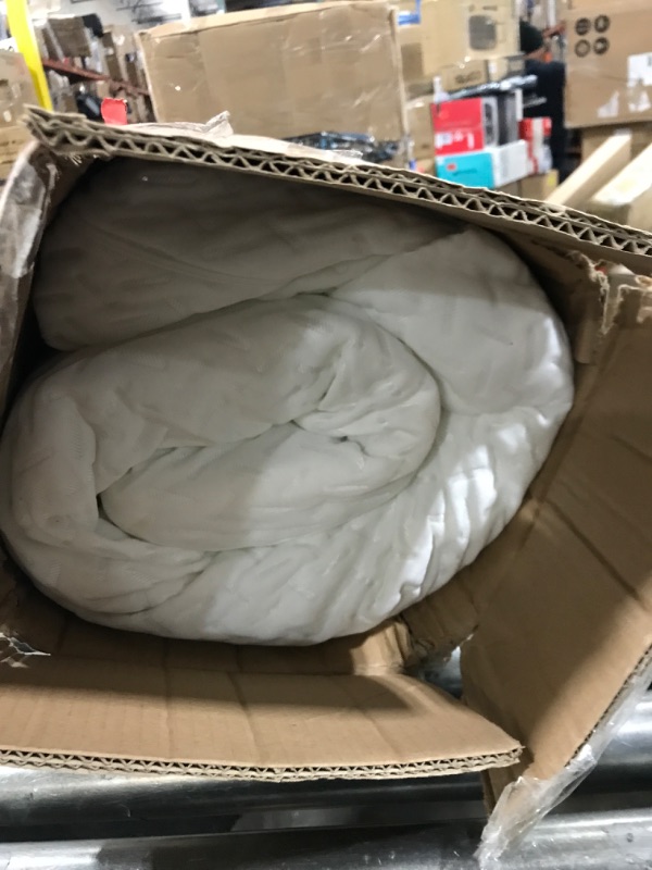 Photo 1 of Dream On Me Baby Fairy 5” Foam Crib & Toddler Bed Mattress in a Box, White I Greenguard Gold Certified I JPMA Certified Baby Fairy Dust Mattress