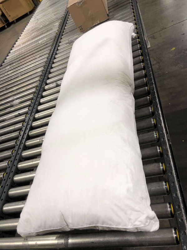 Photo 1 of 21x54inch pillow