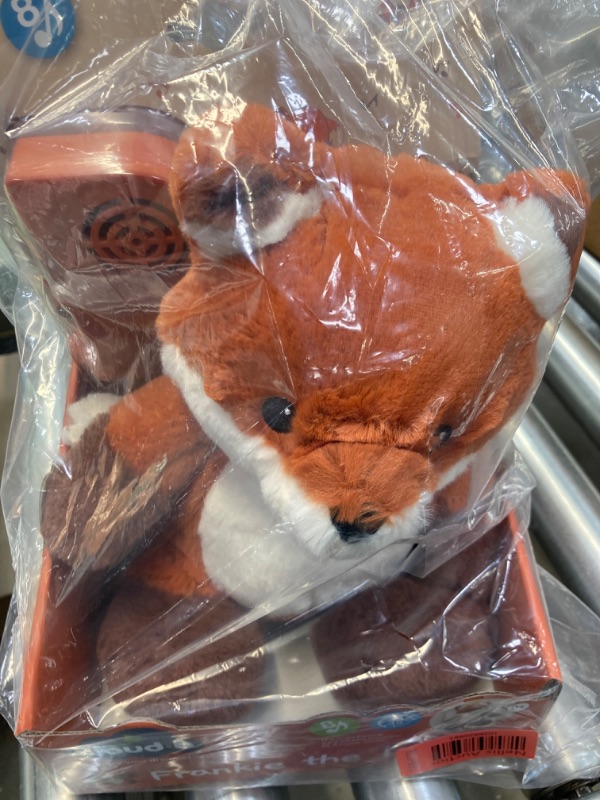 Photo 1 of Cloud b Frankie the Fox