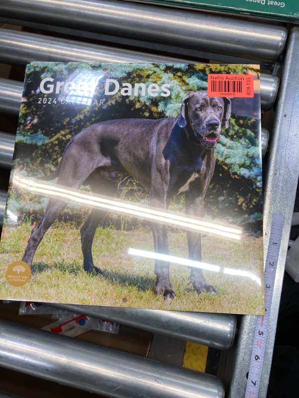 Photo 2 of 2024 Great Danes Monthly Wall Calendar by Bright Day, 12 x 12 Inch Cute Dog Breed Gift