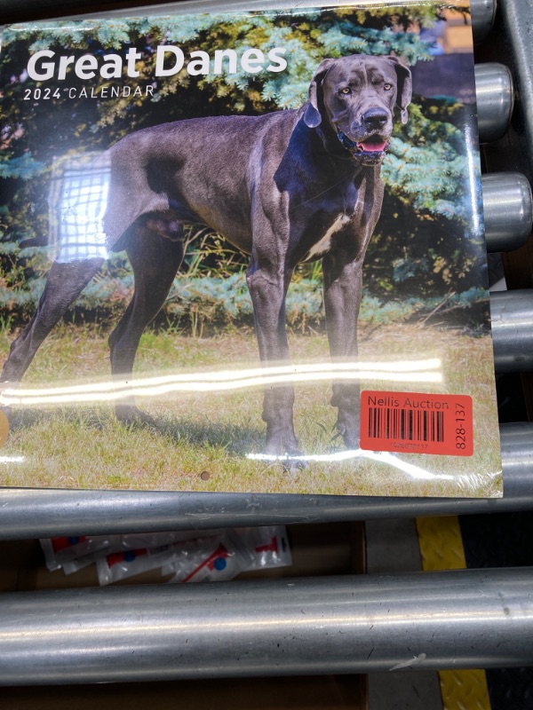 Photo 1 of 2024 Great Danes Monthly Wall Calendar by Bright Day, 12 x 12 Inch Cute Dog Breed Gift
