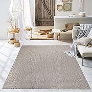 Photo 1 of  Rugs Outdoor Indoor Area Rug, Weather Resistant, Easy to Clean, Stain Resistant Floor Mat for Dining Room, Backyard, Deck, Patio (Silver Weiss, 5' x 7')