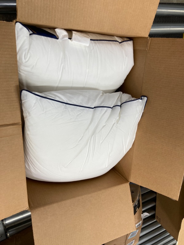 Photo 1 of Siluvia 20"x20" Pillow Inserts Set of 2 Decorative 20" Pillow Inserts-Square Interior Sofa Throw Pillow Inserts Decorative White Pillow Insert Pair Couch Pillow (2, 20"x20" ,2Pack) 2 20 Inchx20 Inch ,2Pack