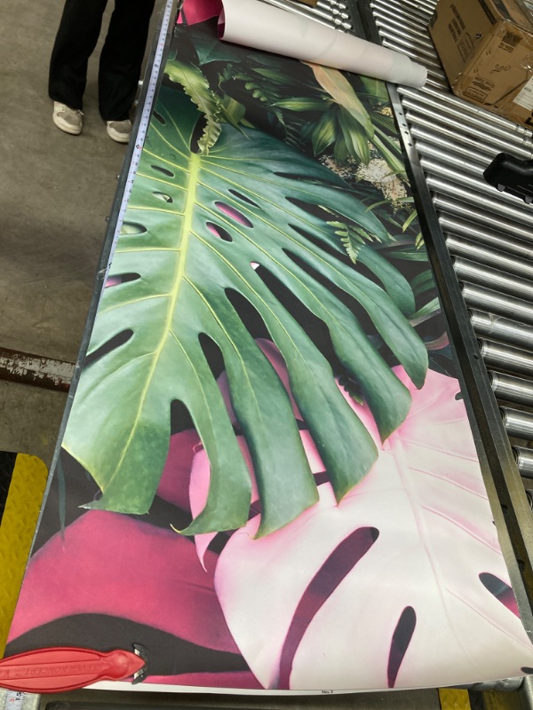 Photo 3 of *STRIP No. 7 ONLY* Cliouar-Wall Mural Wallpaper for Bedroom Living Room 3D Mural Monstera Tropical Plant Green Plant Banana Leaf Palm Leaf 155" x 110"(Not Self-Adhesive) Murals-02 158" x 110"