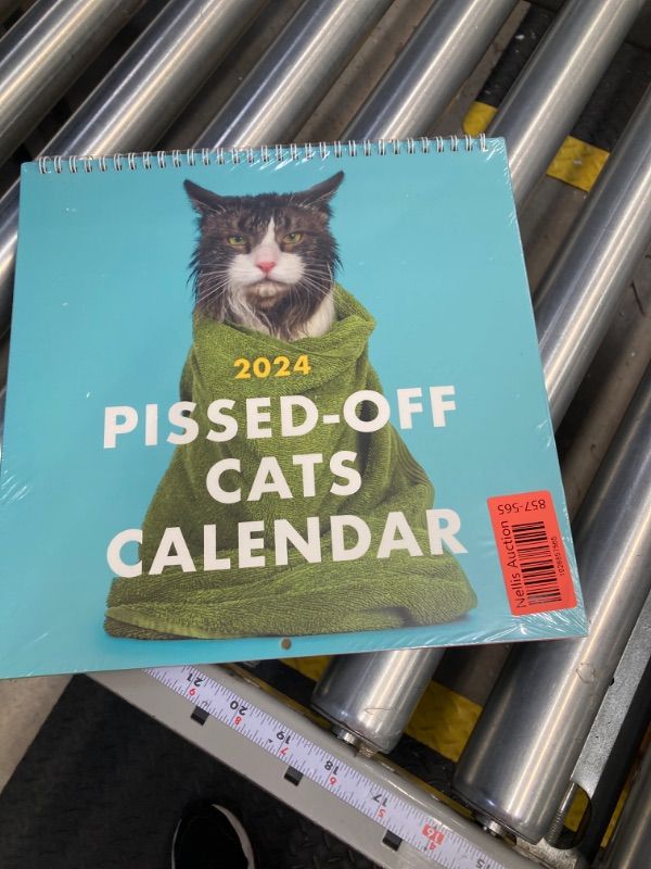 Photo 2 of *** BUNDLE X 2 *** 2024 Pissed-Off Cats Calendar - Funny, Sassy Holiday Gift for Cat lovers - 12 Month Planner for Joke Christmas Present