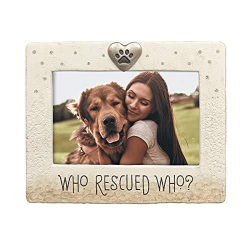 Photo 1 of  Who Rescued Who Dog Photo Frame. Made of Cement, Metal, and Gems. Measures 6.25" x 7.5" overall and holds a 4" X 6" Photo.