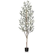 Photo 1 of 
Kazeila Artificial Olive Tree 6FT Tall Faux Silk Plant for Home Office Decor Indoor Fake Potted Tree with Natural Wood Trunk and Lifelike Fruits