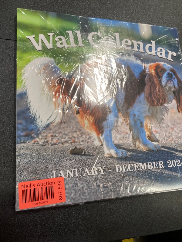 Photo 3 of 4 PACK BUNDLE///Calendar 2023-2024 - Pooping Dogs Calendar from July 2023 to December 2024, 18 Monthly Calendar Planner, Wall Calendar 2023-2024, Funny Calendar Gag Gifts for Family, Friends