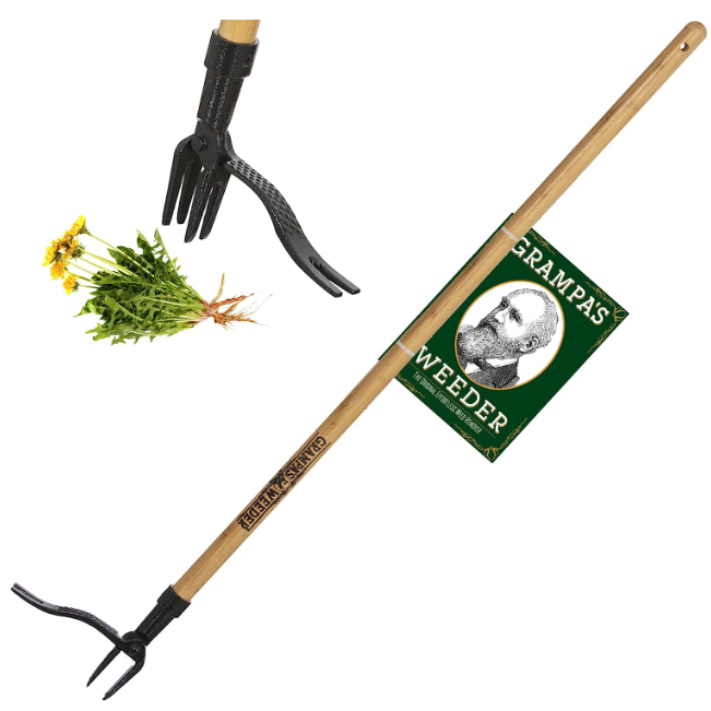 Photo 1 of Grampa's Weeder - The Original Stand Up Weed Puller Tool with Long Handle - Made with Real Bamboo & 4-Claw Steel Head Design - Easily Remove Weeds Without Bending, Pulling, or Kneeling