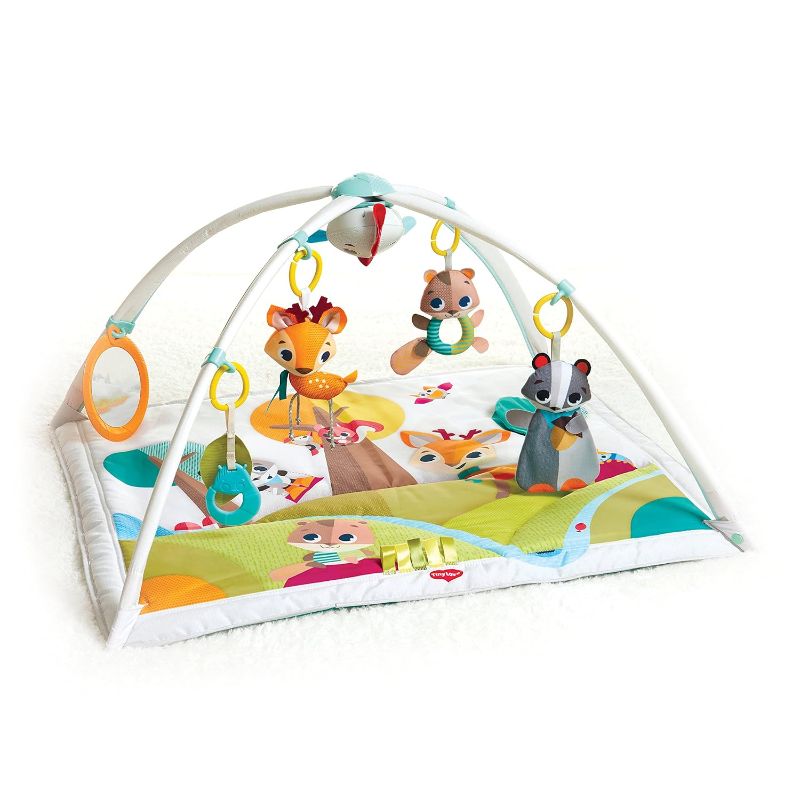 Photo 1 of (SEE NOTES) Tiny Love Black & White Gymini Infant Activity Play Mat With-Book, Magical Tales, Deluxe
