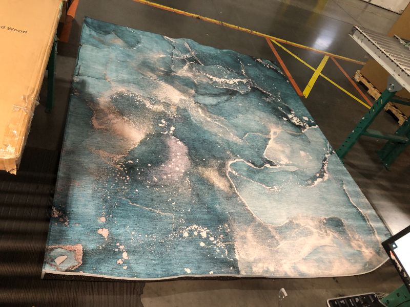 Photo 2 of ***USED - DIRTY - NO PACKAGING***
Addison Rugs Chantille ACN518 Teal 8' x 10 Indoor Outdoor Area Rug, Stain Resistant, Machine Washable, Non Shedding, Bedroom, Living Room, Dining Room, Kitchen Rug Teal 8' x 10'