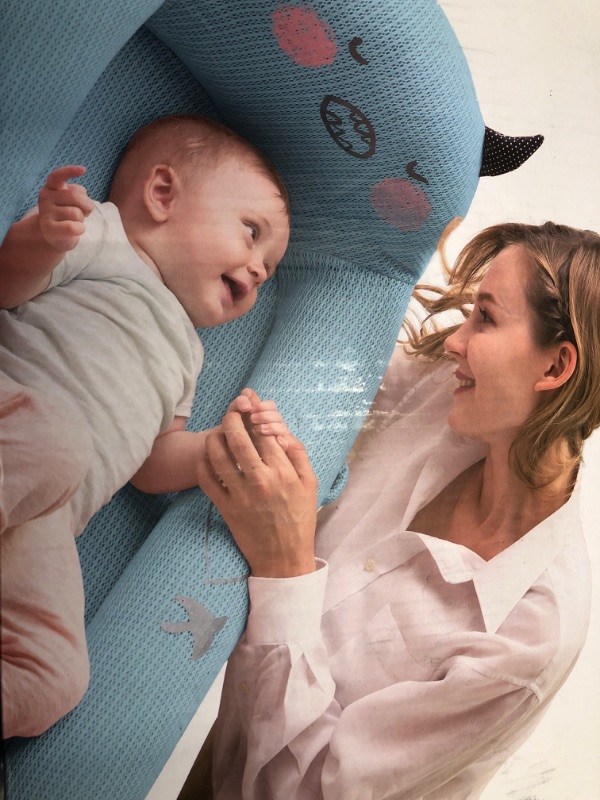 Photo 1 of  eccomum Baby Lounger