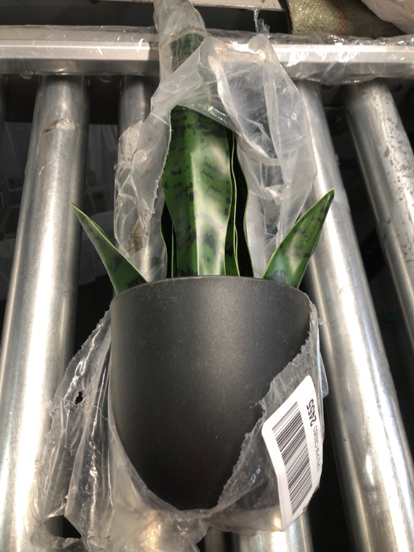 Photo 2 of (16'') Nearly Natural, Green Sansevieria with Black Planter