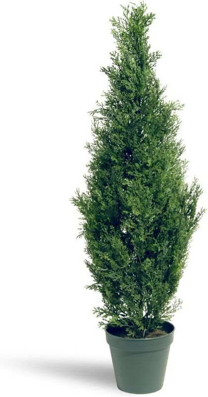 Photo 1 of (READ FULL POST) National Tree Company Artificial Shrub | Includes Pot Base | Arborvitae - 36 Inch
