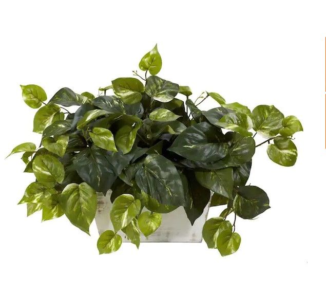 Photo 1 of 14 in. Artificial H Green Pothos with White Wash Planter Silk Plant
