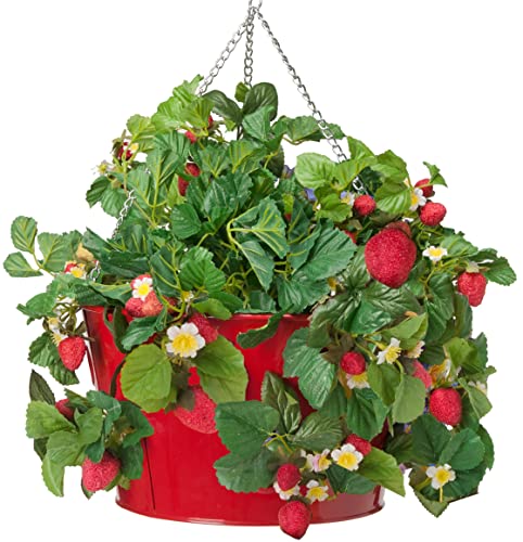 Photo 1 of 8396e Xr Hanging Strawberry Herb Floral Planter, Red