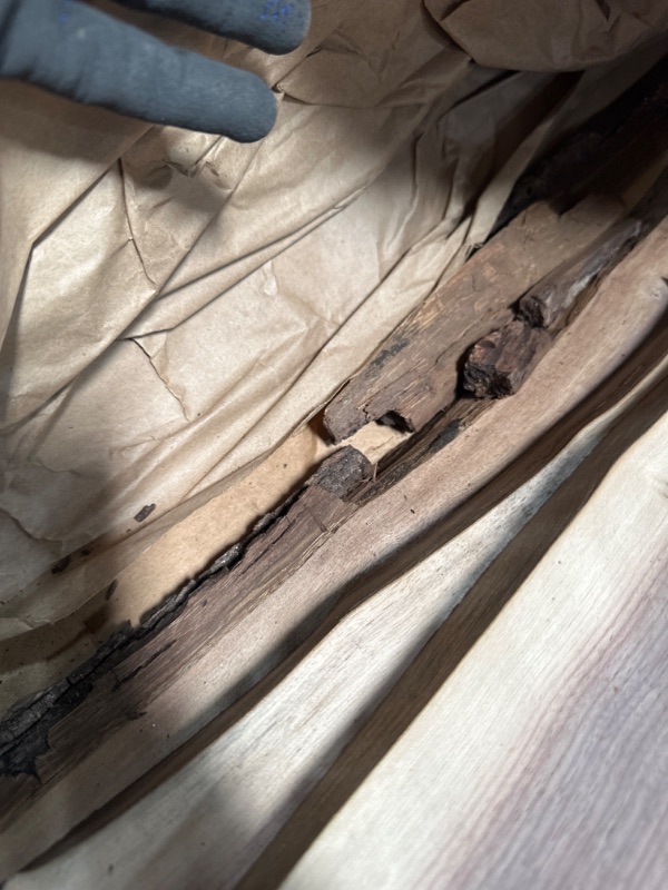 Photo 1 of WALRUS OIL - Real Live Edge Rustic Walnut Wood Slabs, 36" Long x 6-10" Wide x 7/8" Thick (3-Pack)