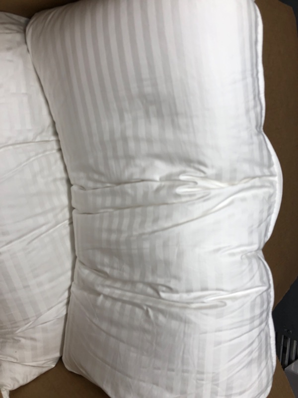 Photo 1 of 2 pillows 