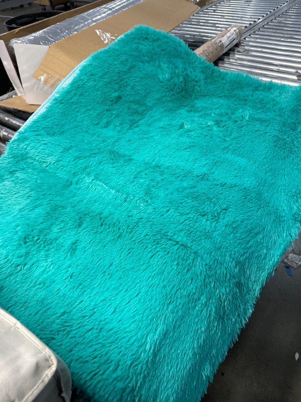 Photo 1 of 4 X 6 FLUFFY AREA RUG