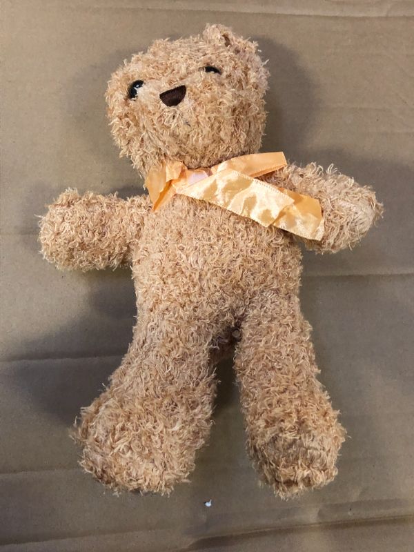 Photo 1 of Brown Teddy Bear Plush, 12 Inch Bear Stuffed Animal